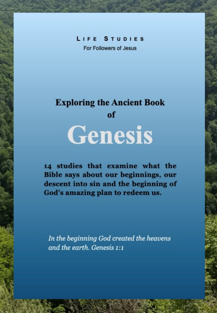 Check out the Genesis Studies book!
