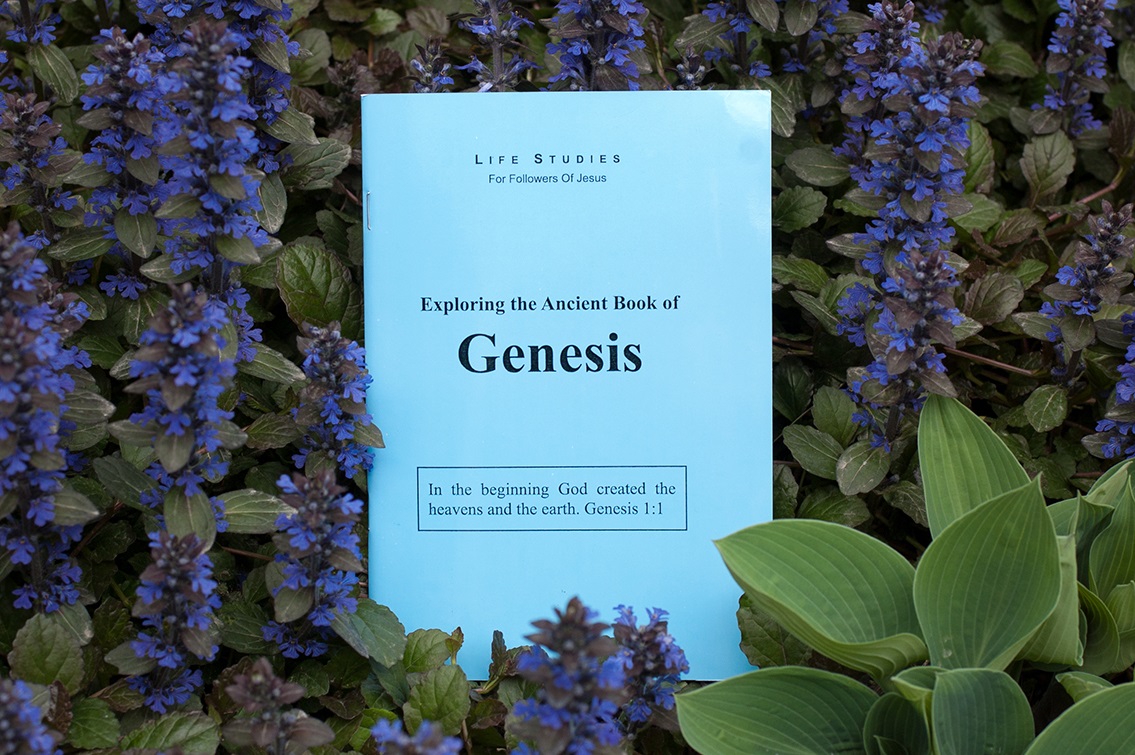 Check out the Genesis Studies book!